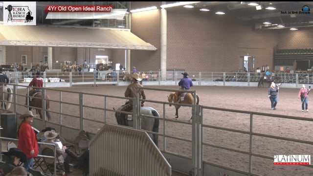 #4Yr Old Open Ideal R 4Yr Old Open Ideal Ranch