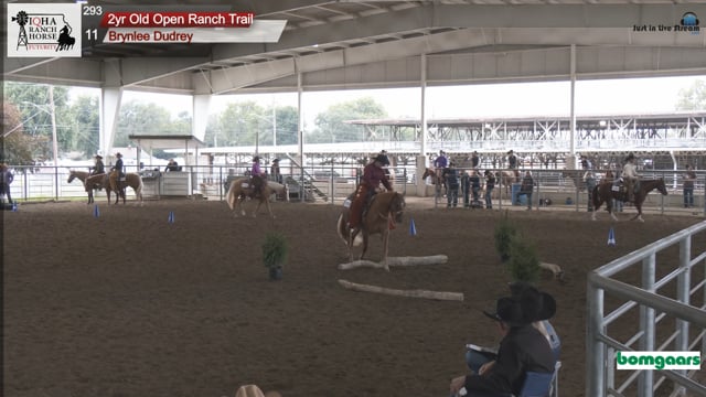 #293 Brynlee Dudrey