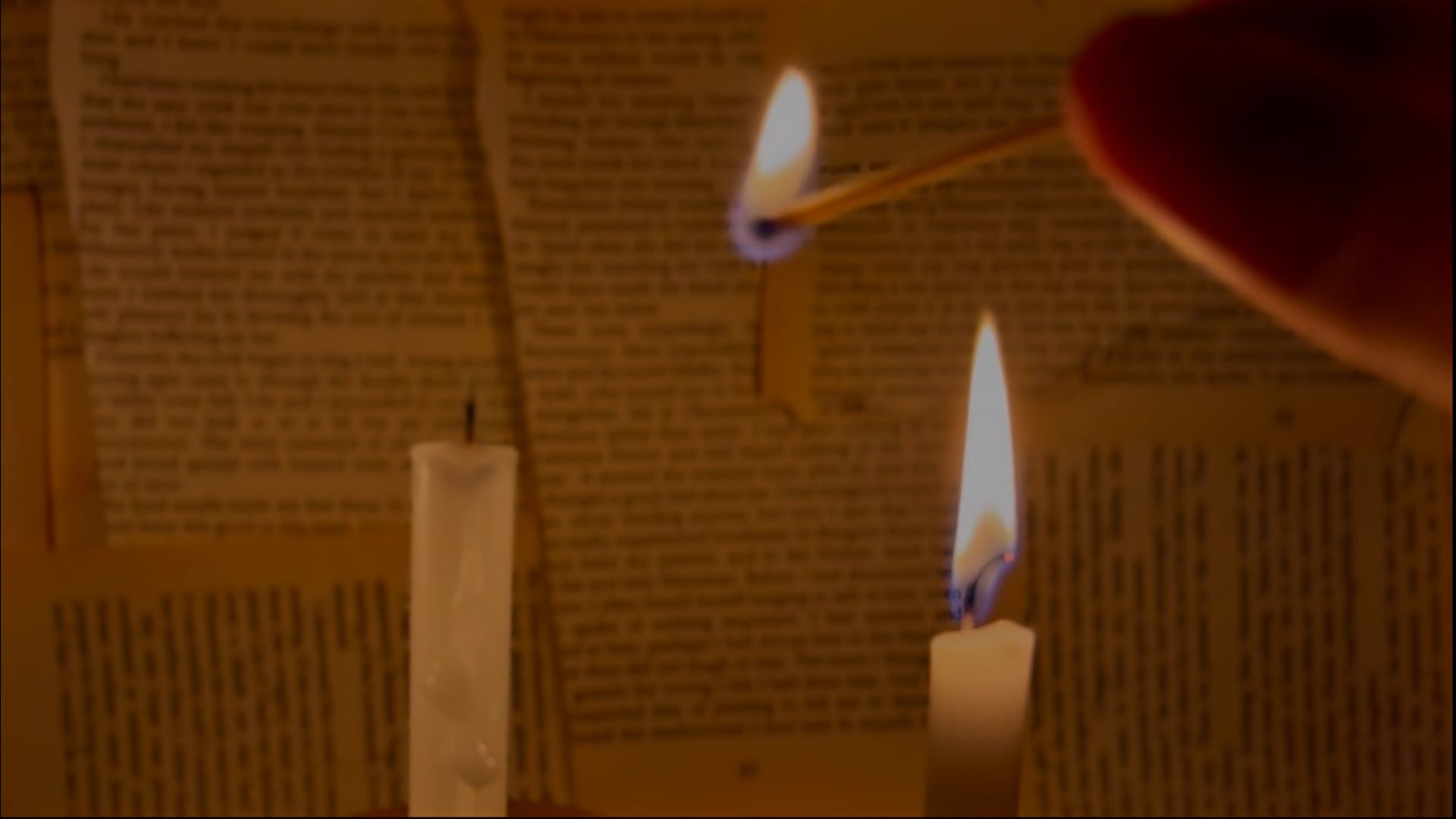 The Writer