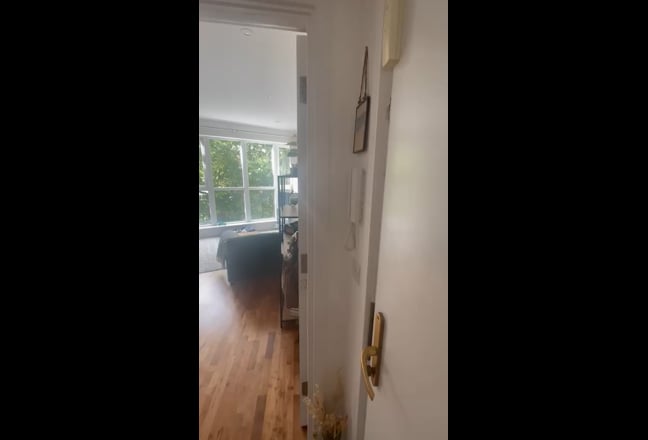 Video 1: 