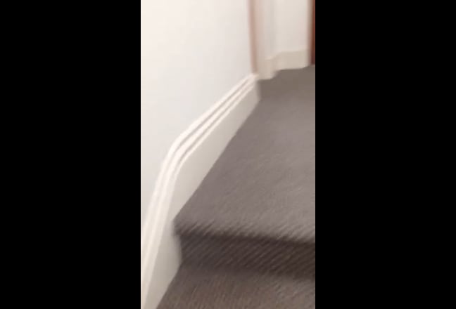 Video 1: 