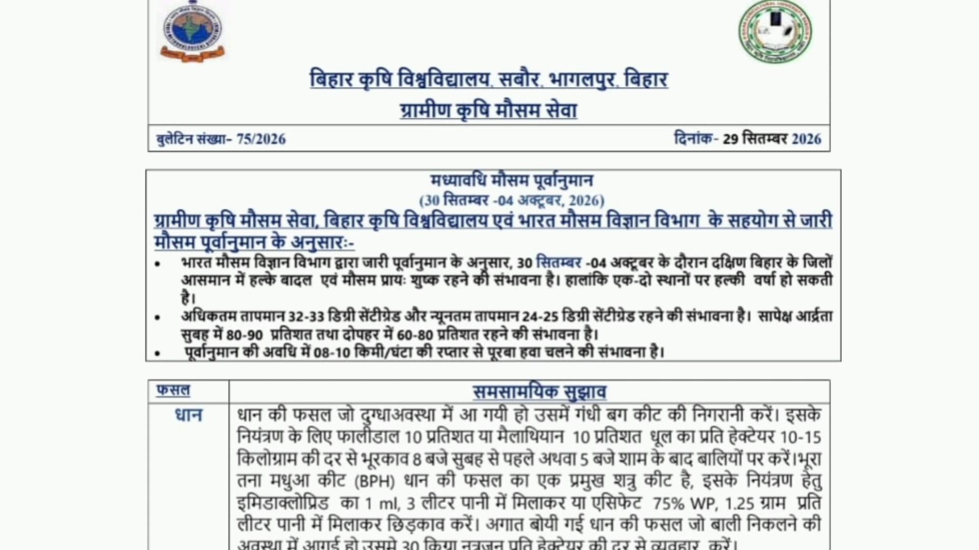धान की फसल पर कीटों का खतरा, किसान रहें सतर्क