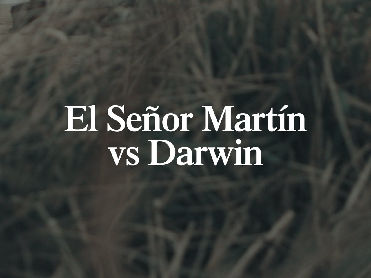 Sr. Martín — El Señor Martín vs Darwin