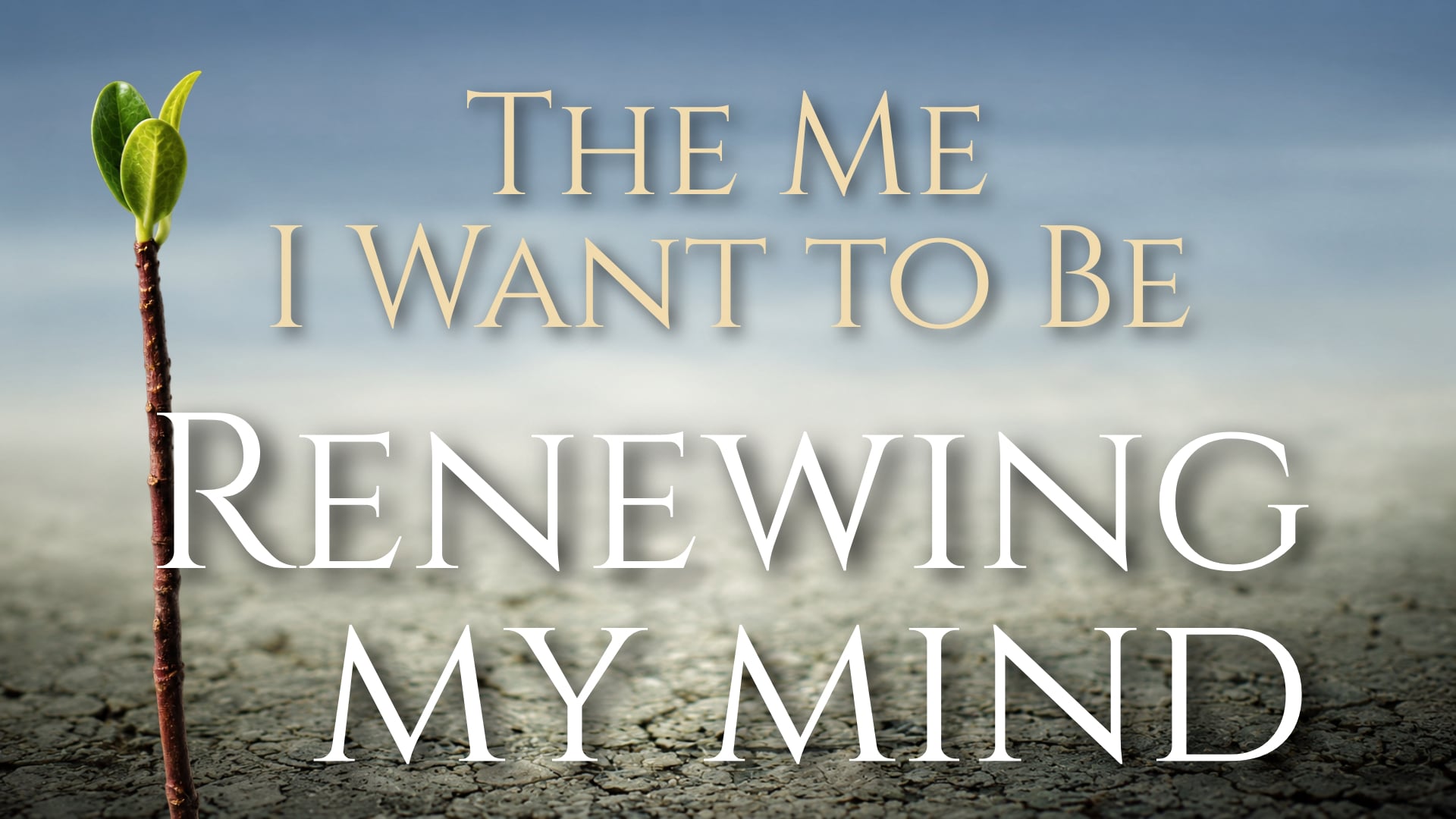 Renewing My Mind