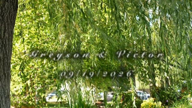 Greyson & Victor’s wedding film at The Greenhouse on Woodland