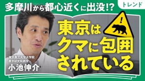 クマ被害は劇的にゼロにはならない／小池伸介さん