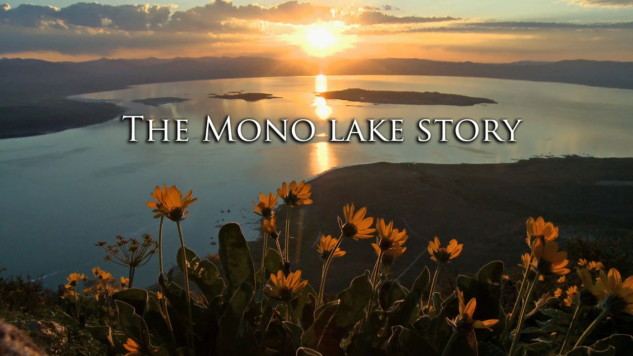 Mono Lake Hat  Peak Productions