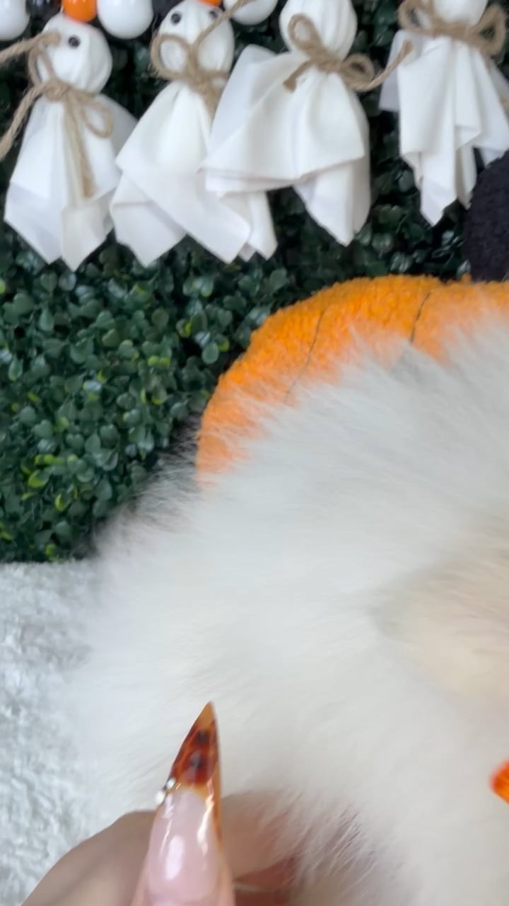 Female Pomeranian puppy named Marshmallow for sale at Puppy Dreams - Garland. video thumbnail