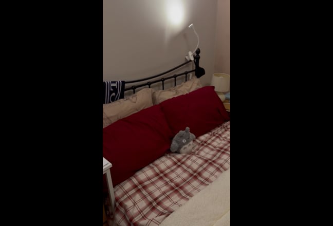 Spacious Double Room 10min to Ealing Broadway Main Photo