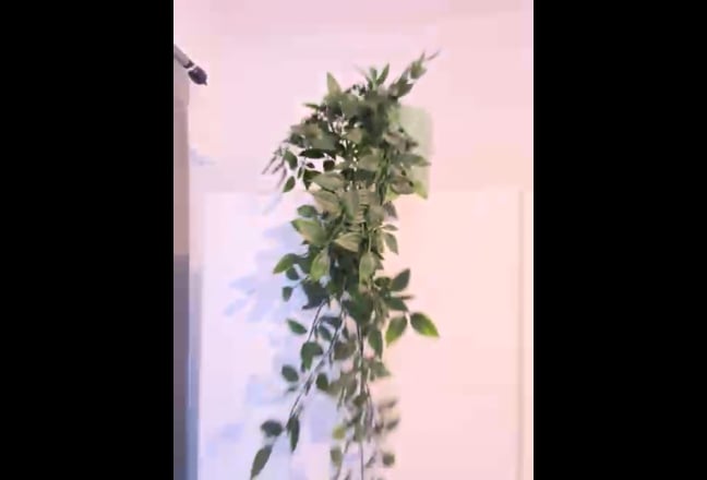 Video 1: 