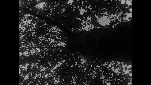 Still 2