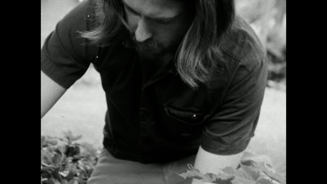 Still 1