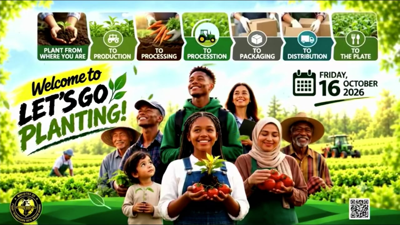 Let's Go Planting