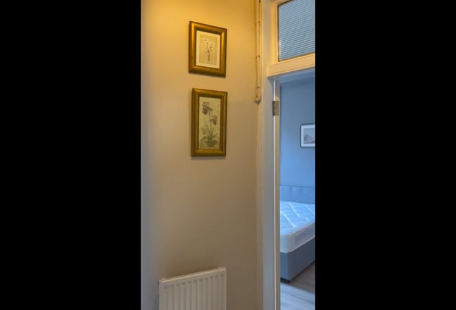 Video 1: 