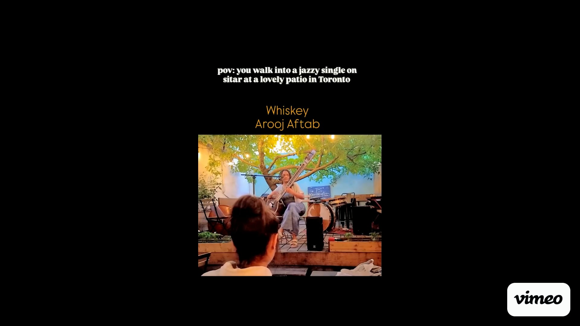 Promotional video thumbnail 1 for Toronto Sitar