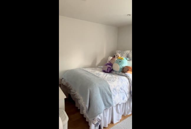 Room in Central London  Main Photo