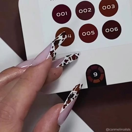 Video: BOOMY 9 Color Gel Paint Kit - ESPRESSIA