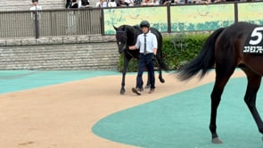 動画サムネイル