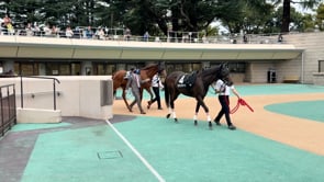 動画サムネイル