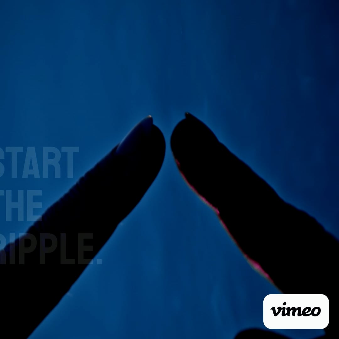 https://i.vimeocdn.com/video/2208006420-c0e2f2b68273c769e7882e630b532cdd20ca1e8bfcaacdbb77e6477dd4b979ef-d