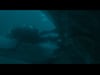 Whalefall