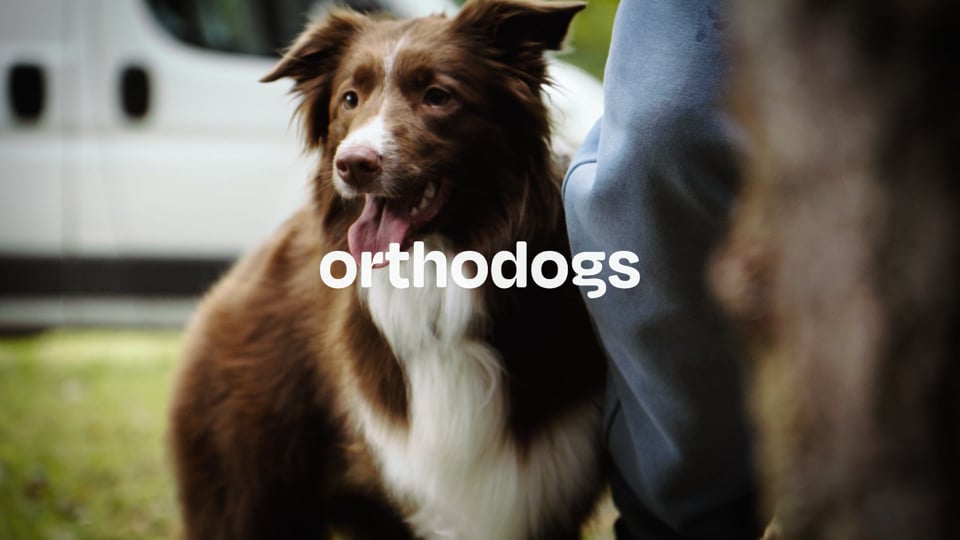 Kadr z realizacji: Ortho.Dogs