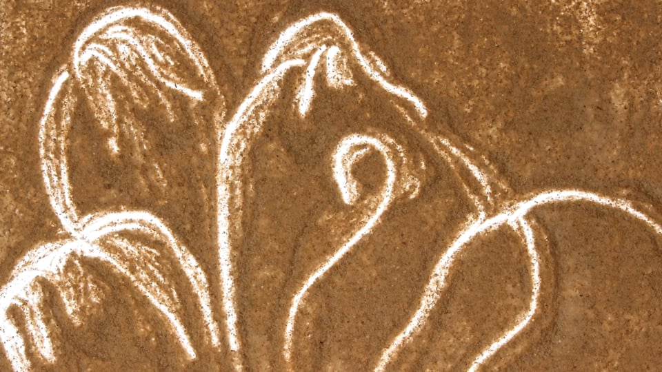 tierra