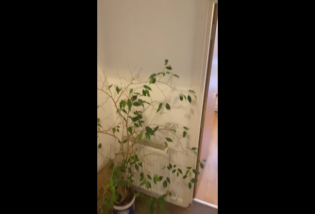 Room to rent in West Hampstead  Main Photo