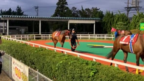 動画サムネイル