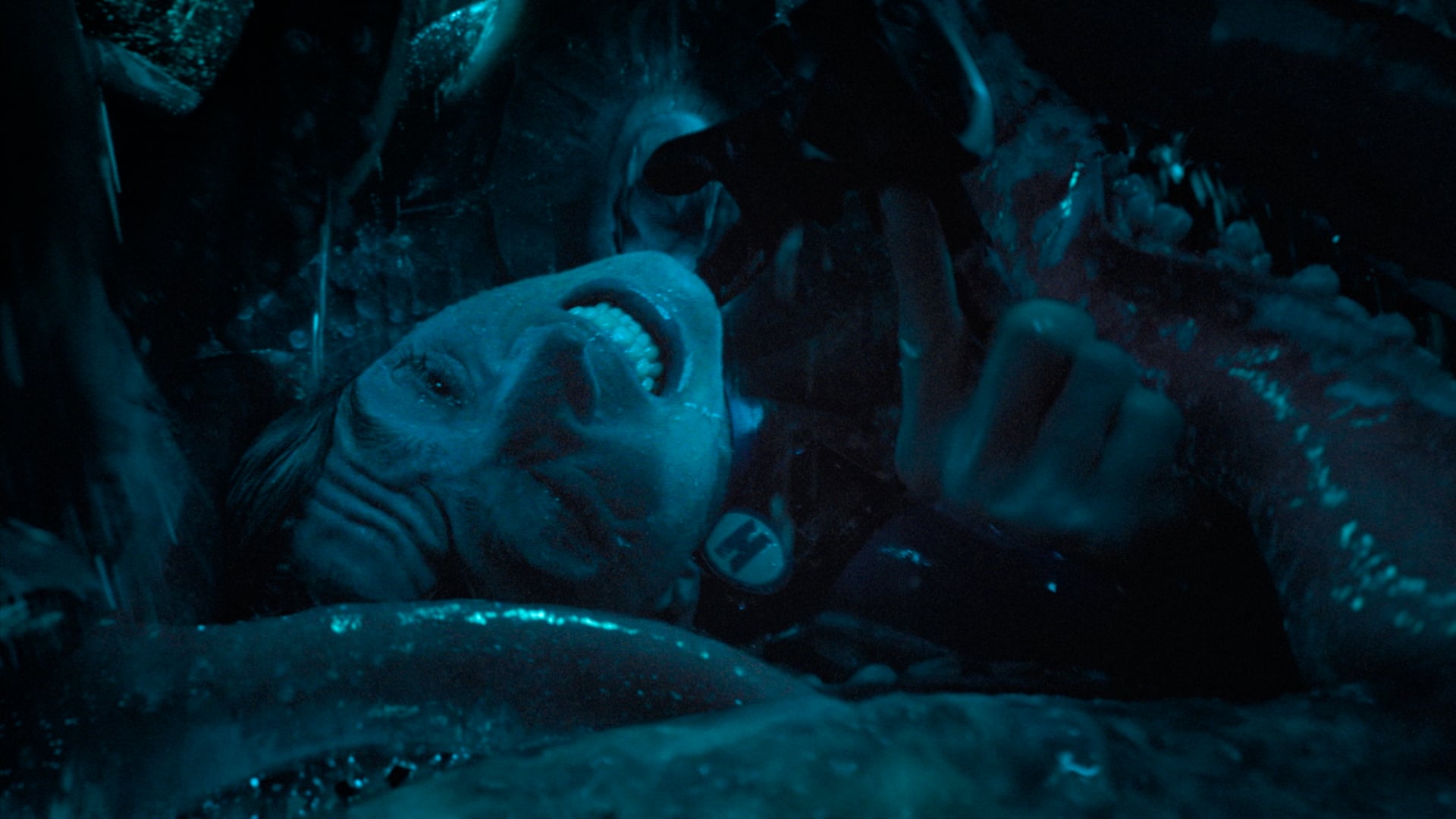 Whalefall – TV30 "Close Event"