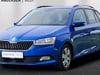 Video af Skoda Fabia Combi 1,0 TSI Dynamic DSG 95HK Stc 7g Aut.