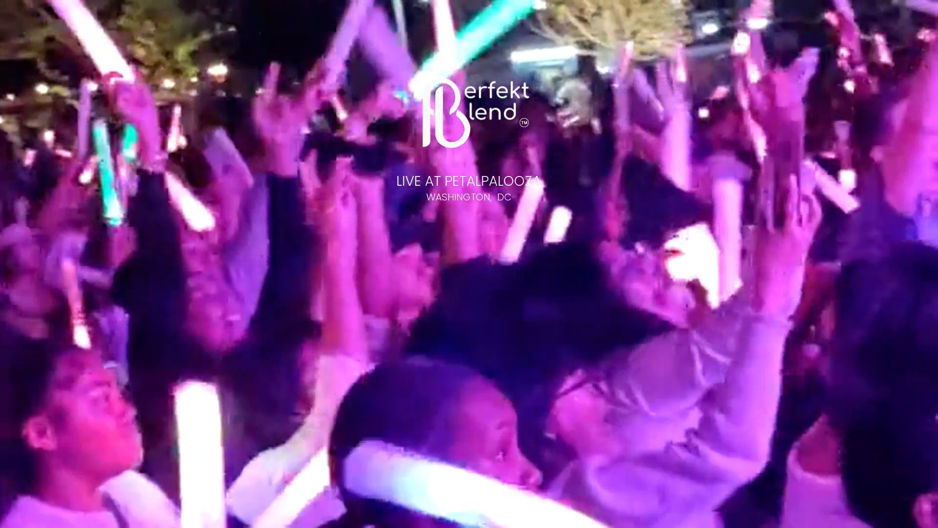Festival Experience