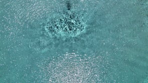 I.C.F Pool Retrofit