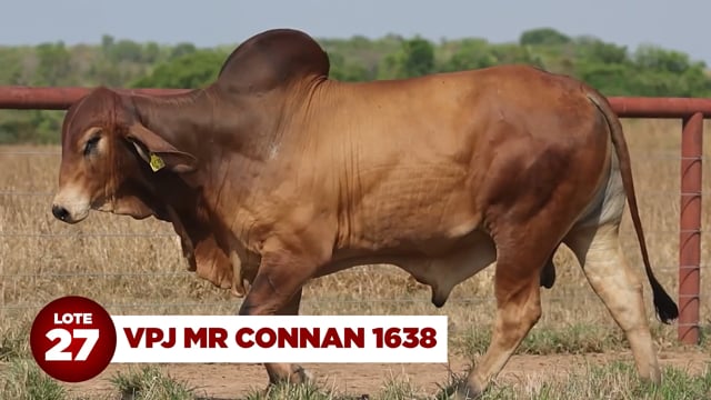 Lote 27