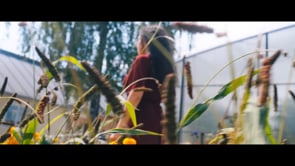 Related Embedded Video Item Thumbnail