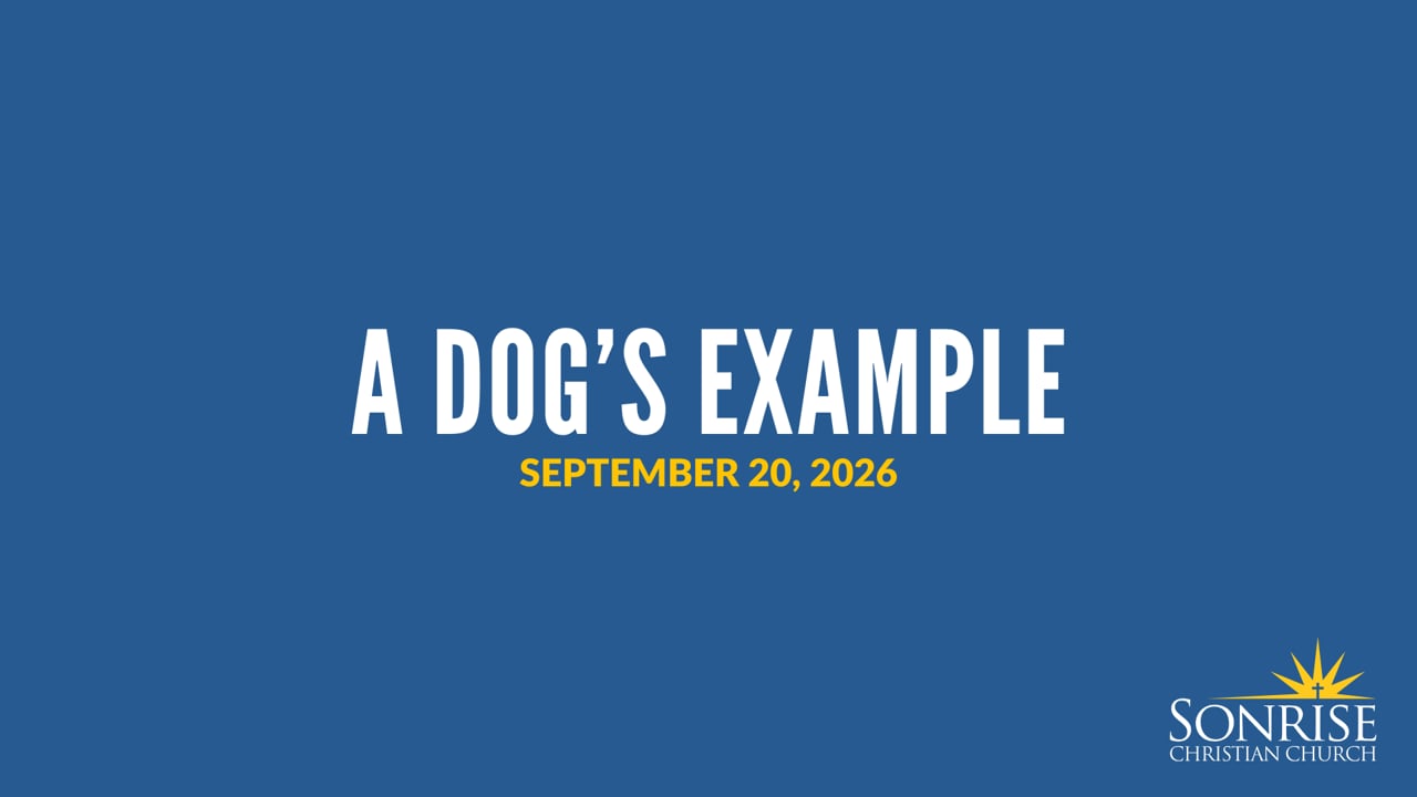 A Dog’s Example