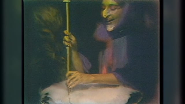Morris Costume TV Commercial, 1980