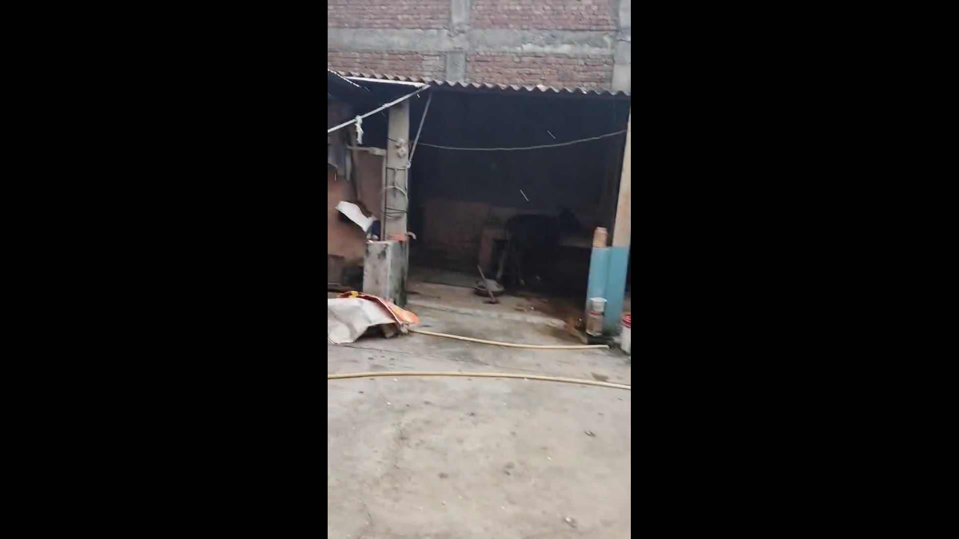 ब्रेक किंग न्यूज उत्तराखंड मे  हरिद्वार के ग्राम  धारीवाला में  जमकर बरसे ओले आज सुबह 10:00 बजे