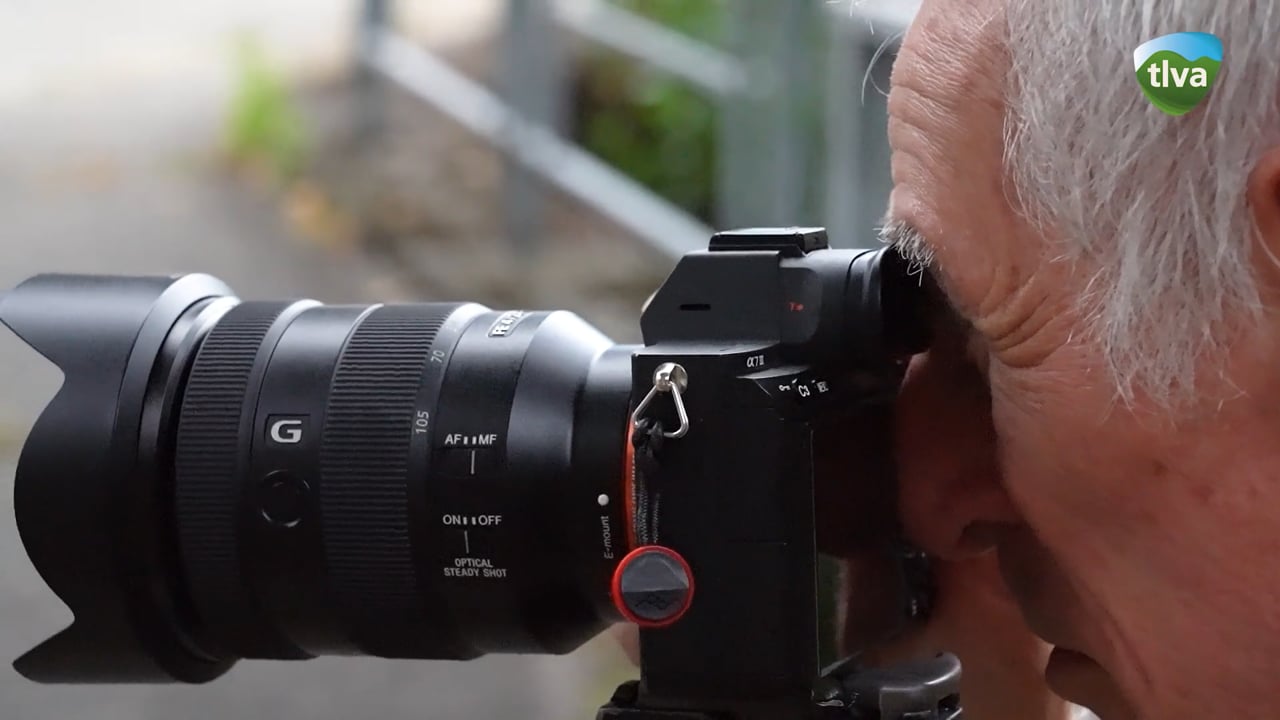 Miniature vidéo Vimeo
