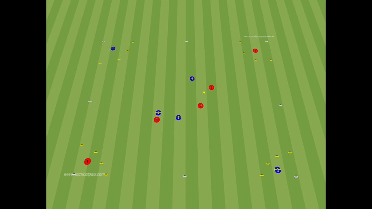 A complete hurling session