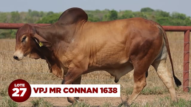 Lote 27