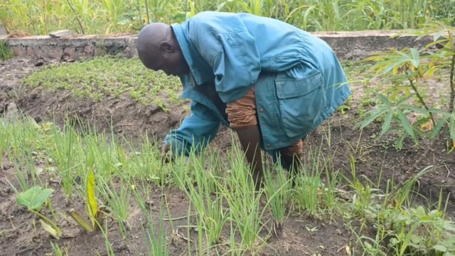 Les agriculteurs de Mahelo