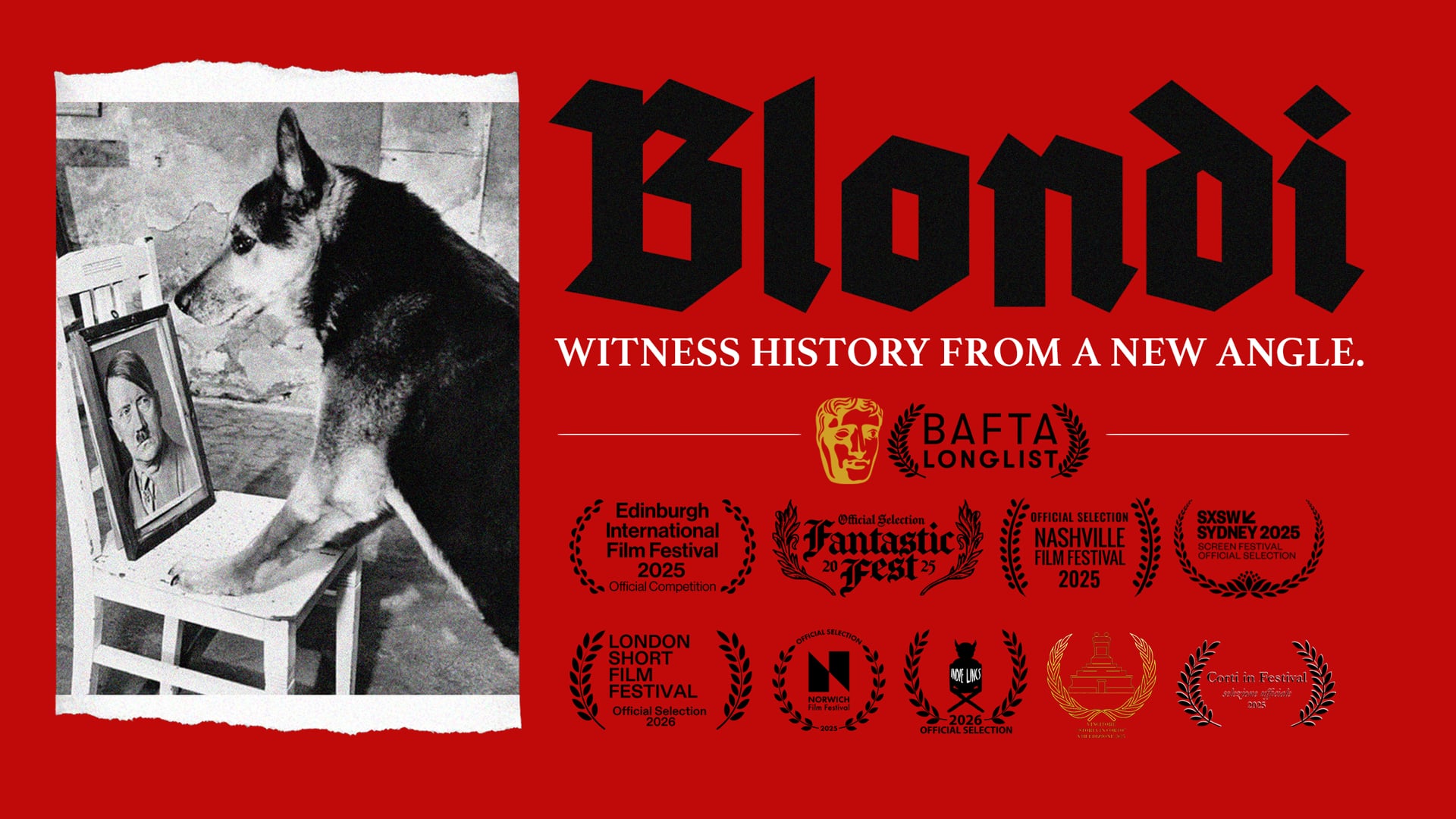 Blondi | Trailer