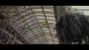 Related Embedded Video Item Thumbnail