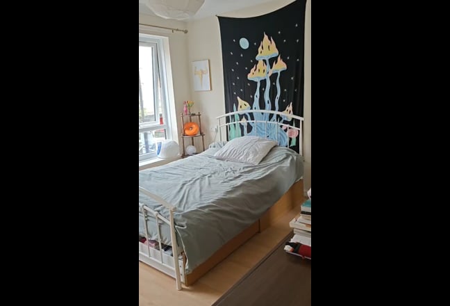 Large double bedroom off Essex Road Main Photo