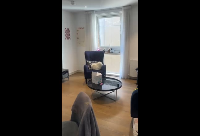 Video 1: 