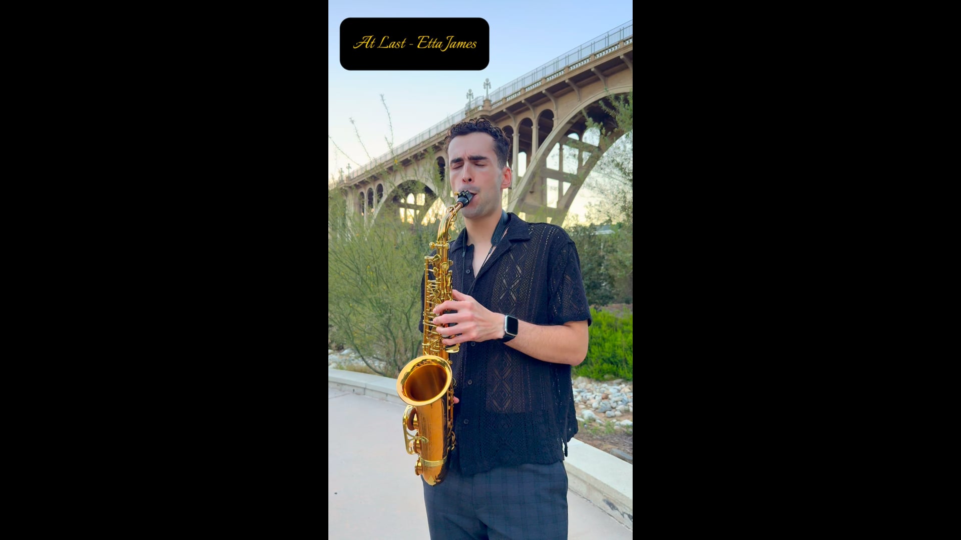 Promotional video thumbnail 2 for Cocktail Hour Jazz