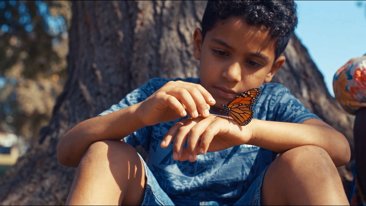 Roche Manifesto, ai film for Roche