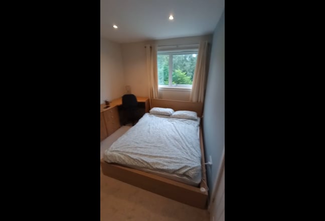 Room in quiet southside house for six months  Main Photo