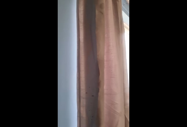 Large room in a family house  Main Photo